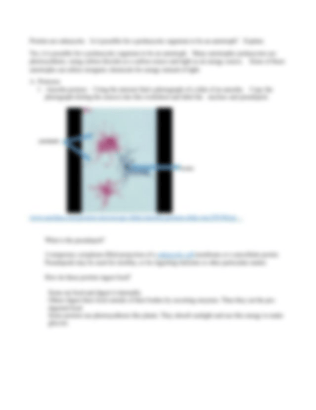 KJones Worksheet 4 - Protists & Fungi_d69olsyydwi_page2