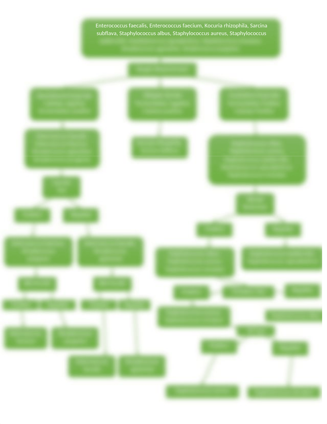 Flow Chart Positive.docx_d69pza3apqg_page2