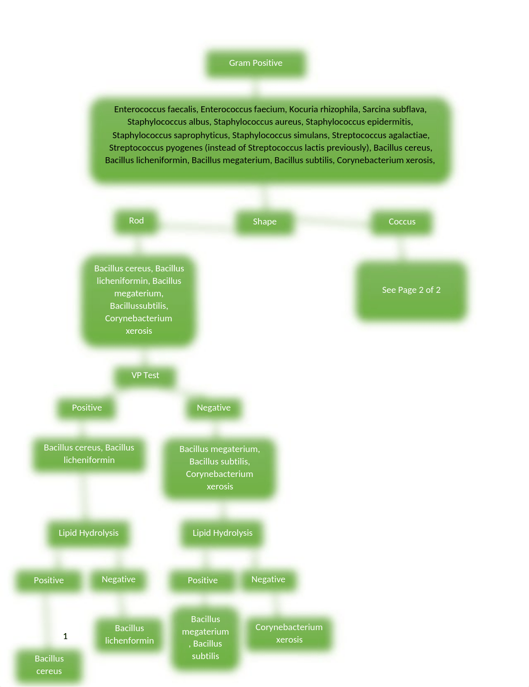 Flow Chart Positive.docx_d69pza3apqg_page1