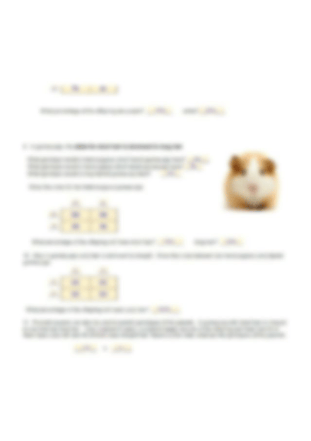 hamster.PNG_d69q6t26pih_page1