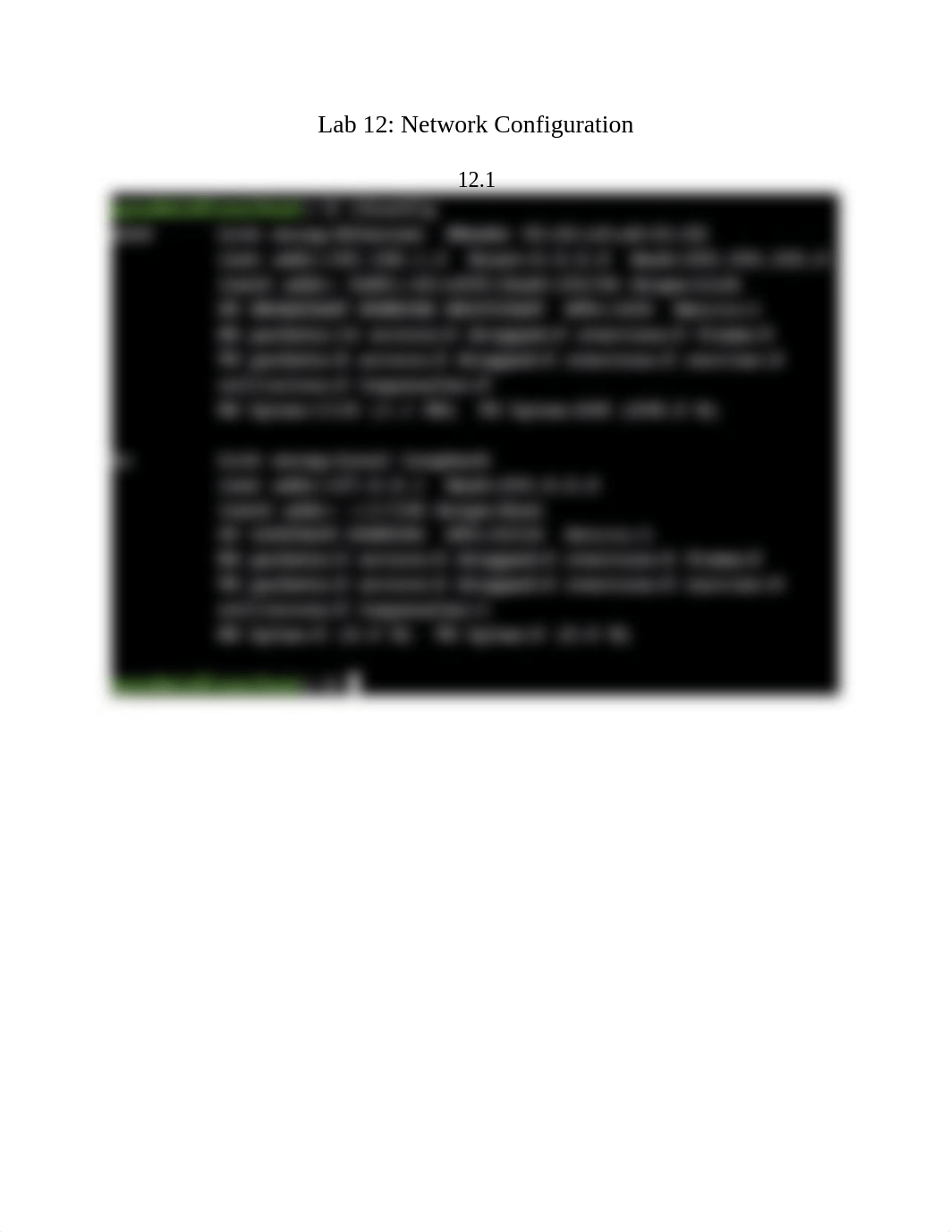 Lab 12- Network Configuration.docx_d69rjhgoczp_page1