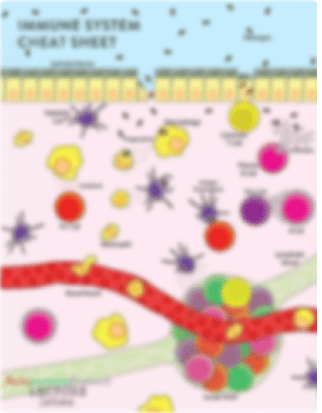 AL-Series_WK-1_-Immune-System-Cheat-Sheet.pdf_d69rx7ggxm5_page1