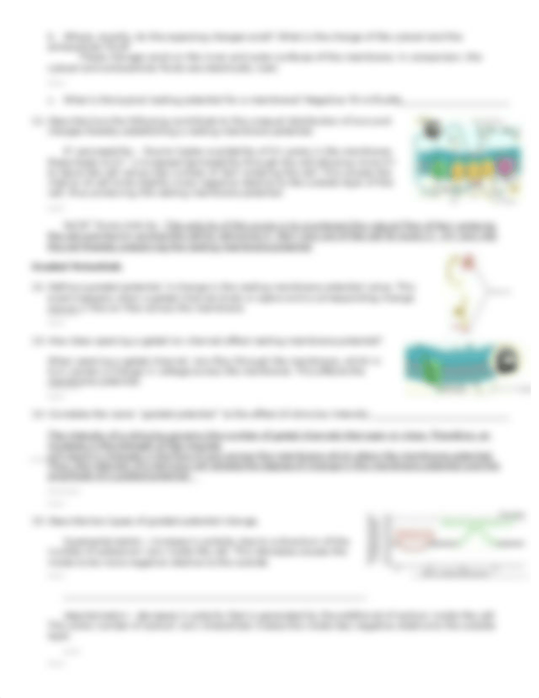 Membrane potentials.doc_d69vsgdnd8g_page4