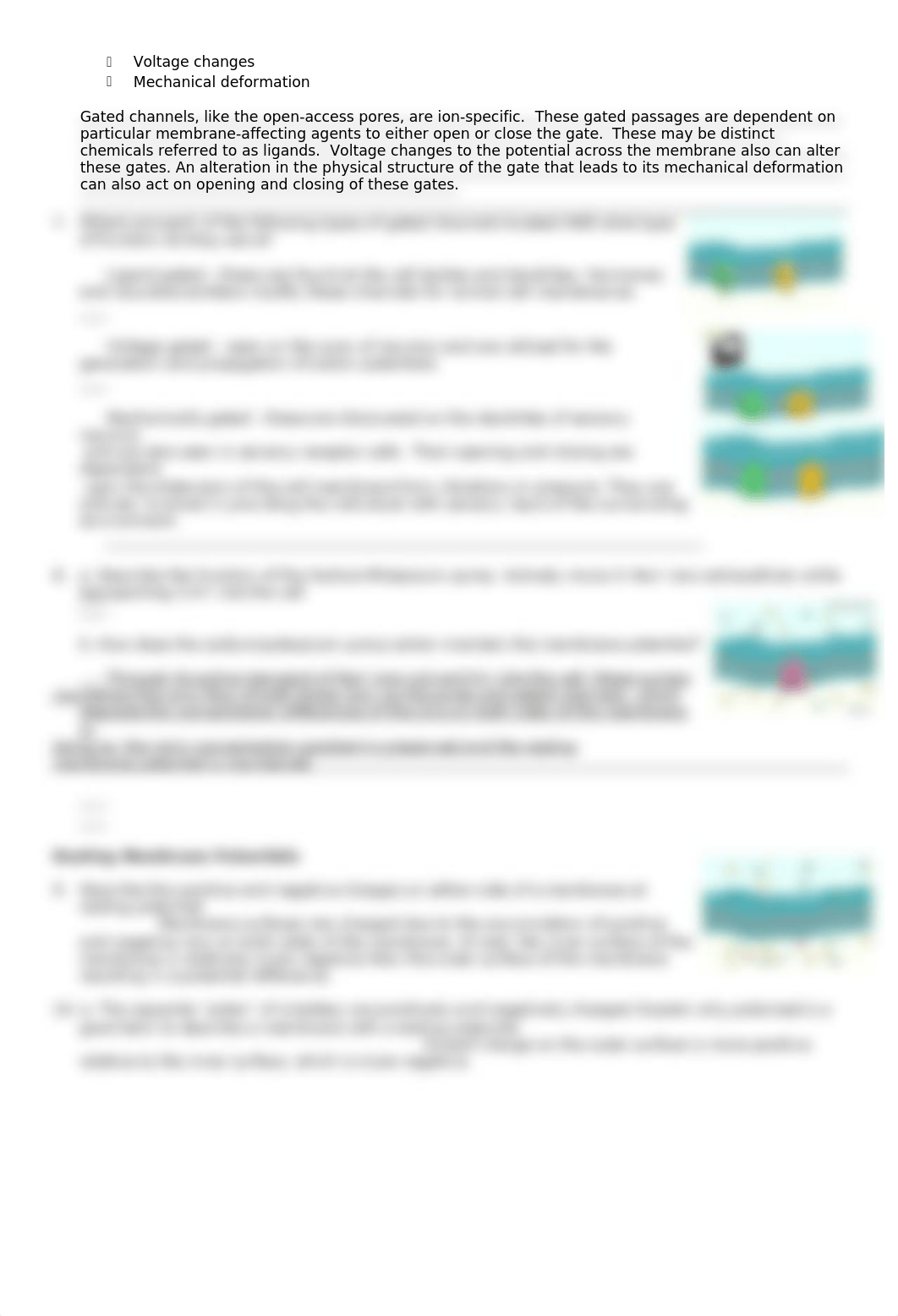 Membrane potentials.doc_d69vsgdnd8g_page3