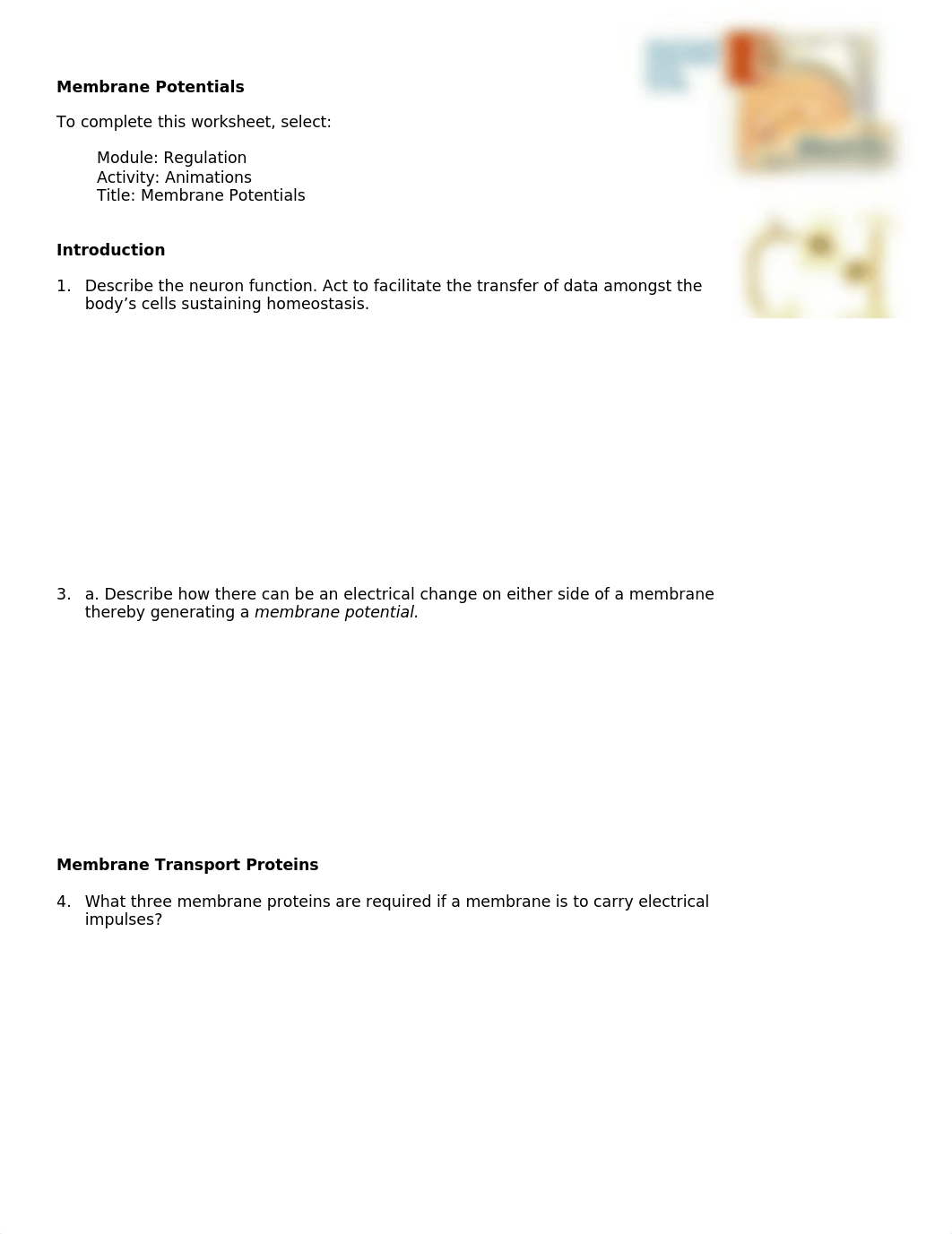 Membrane potentials.doc_d69vsgdnd8g_page1