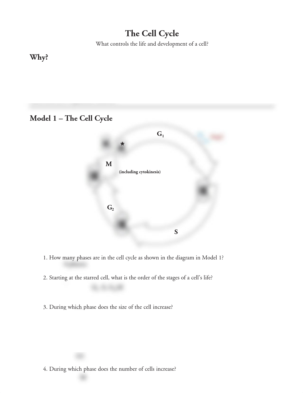 Kami Export - JAYDEN RUIZ - 15 The Cell Cycle-S.pdf_d69zy65iwau_page1