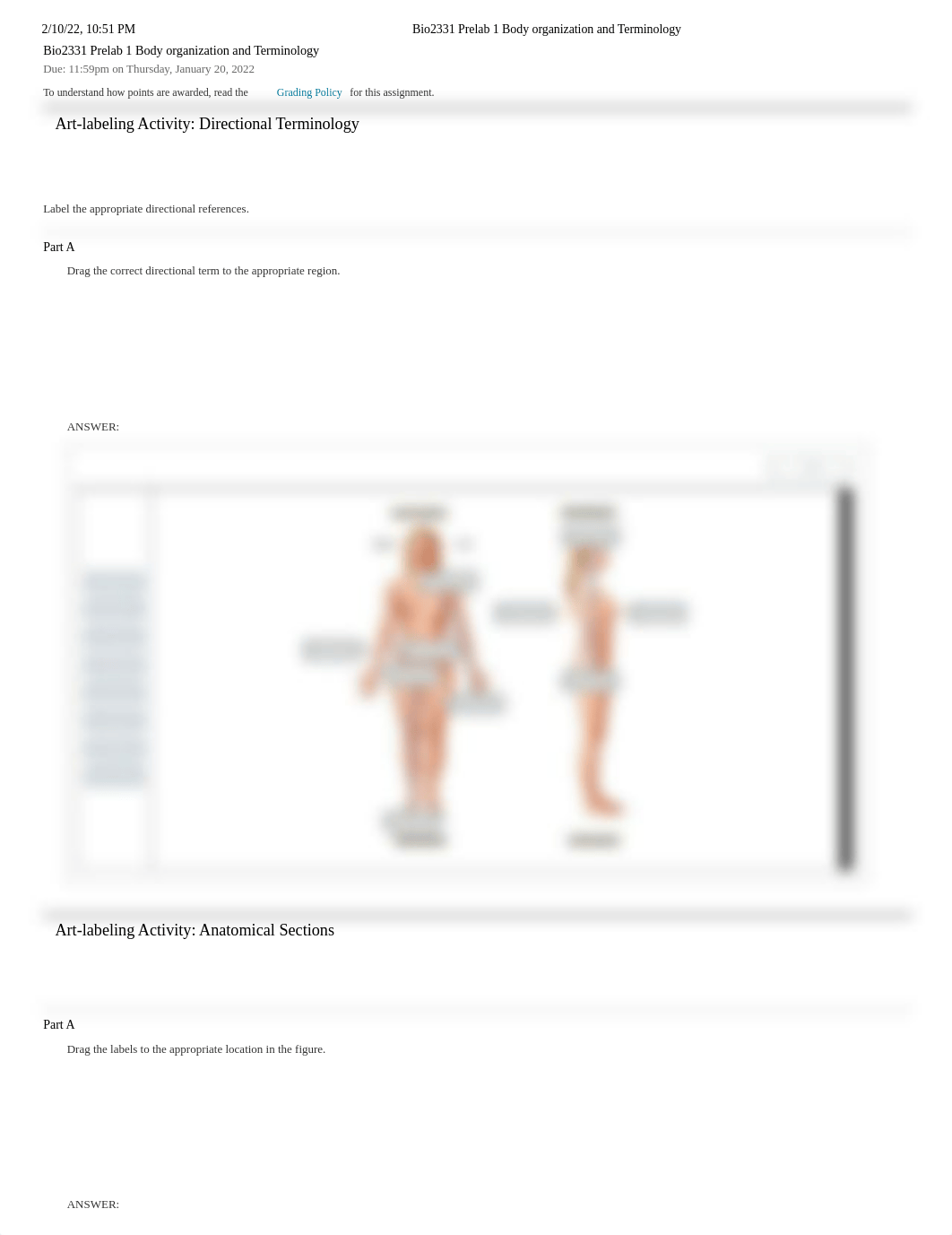 Bio2331 Prelab 1 Body organization and Terminology.pdf_d6a8hsuoori_page1