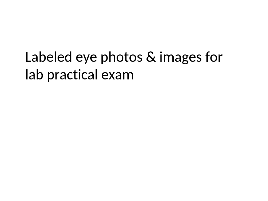 Eye photos & image for lab practical(2)(1).pptx_d6abom8amzr_page1