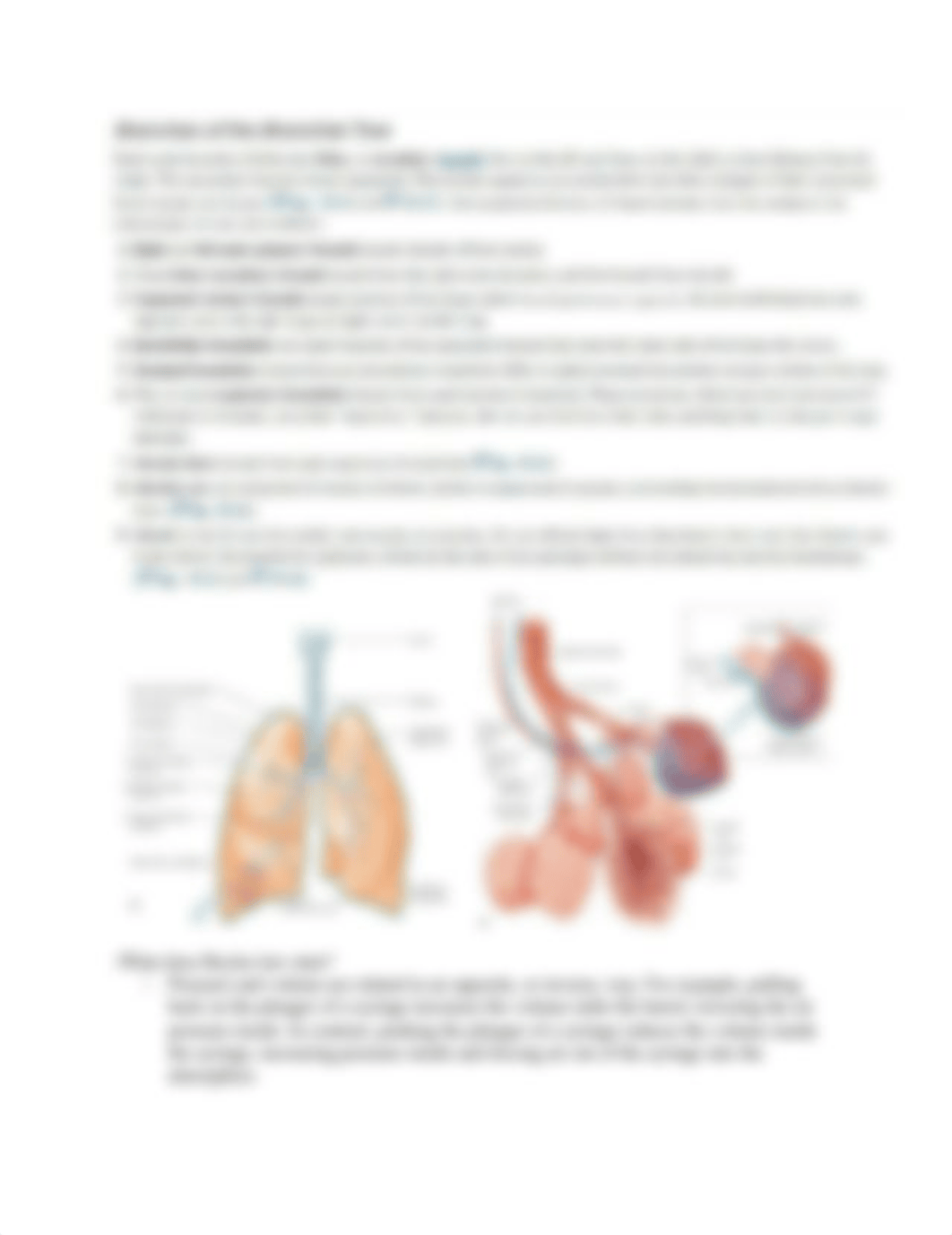 Exam 4 over Chapter 19, 20, 21 study guide.docx_d6acjwkbm06_page3