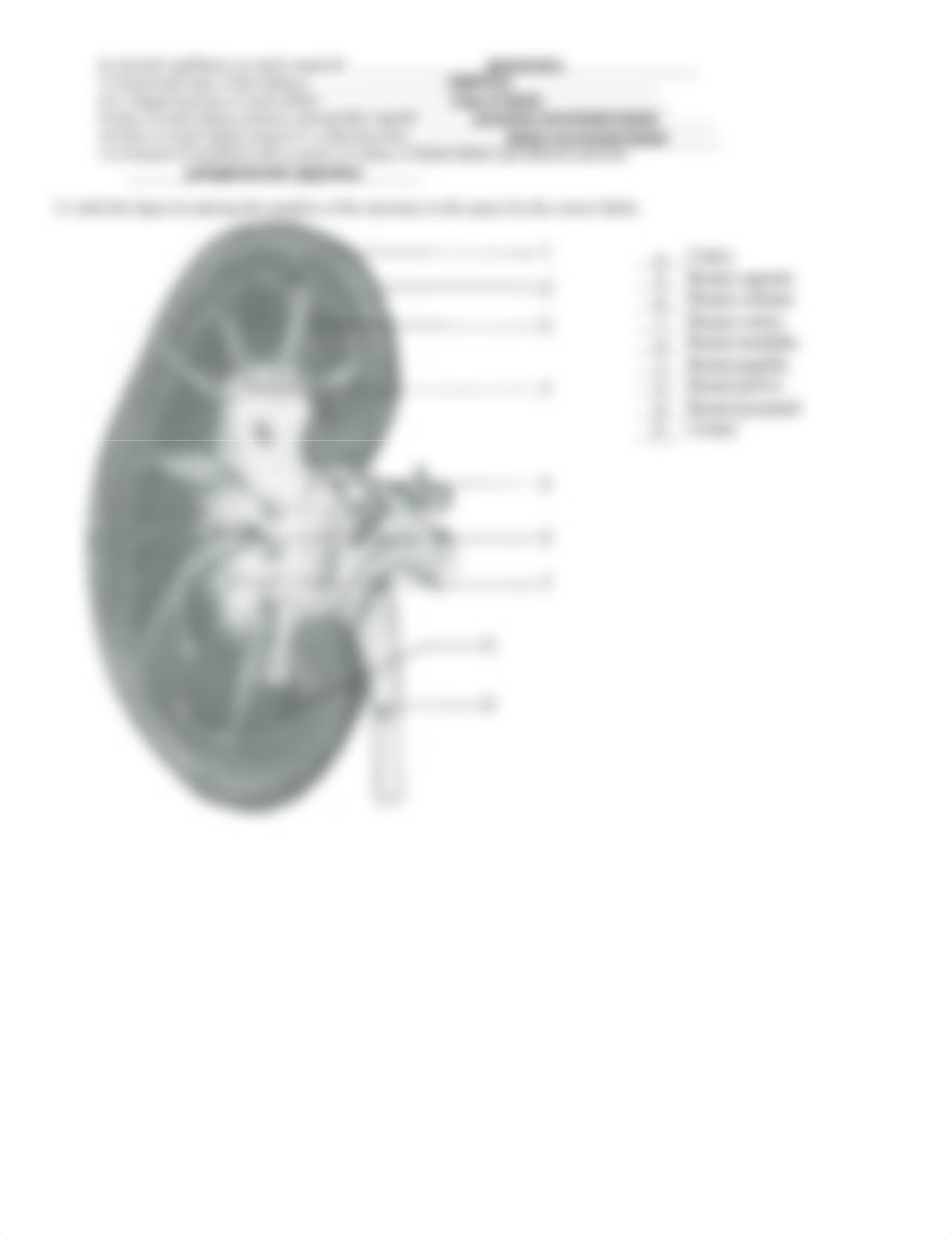 Urinary System Module_d6acyvjb8cf_page2