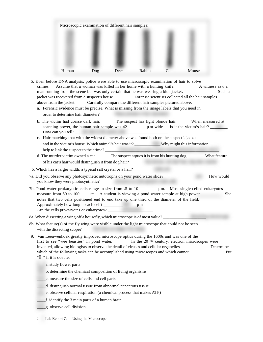 Lab Report 7 Using the Microscope.pdf_d6ae7y3rc0v_page2