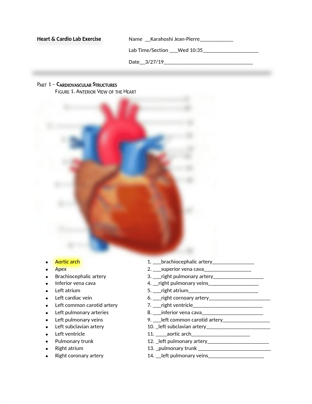 Lab 5_Cardiovascular Worksheet completed.docx_d6aicxde2gl_page1