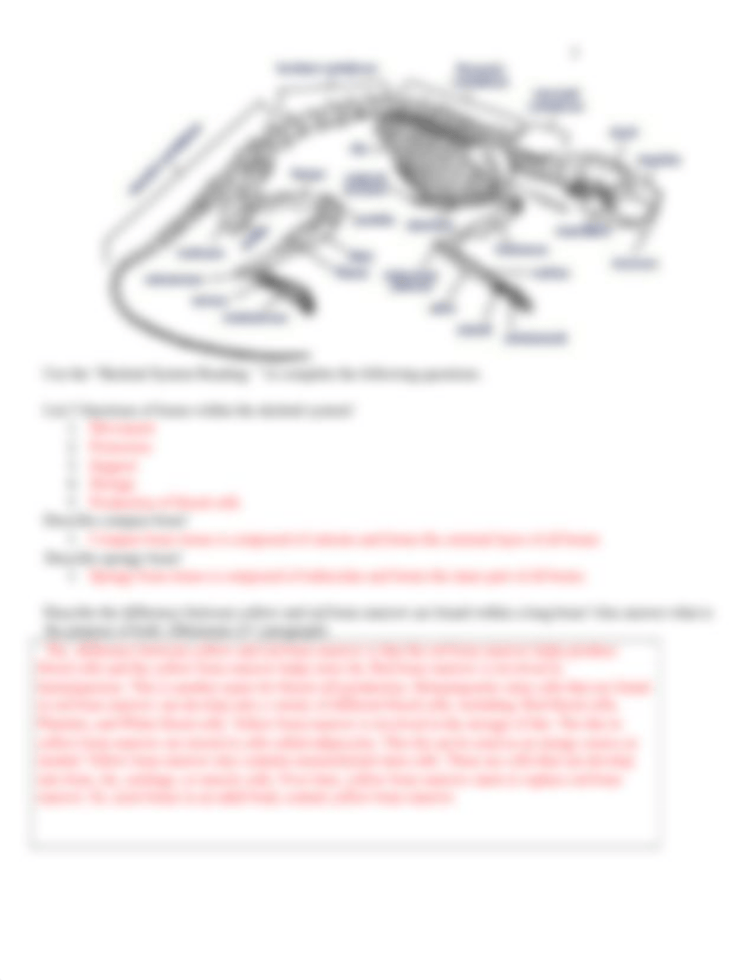 skeletal ws .docx_d6anjn9cnzq_page3