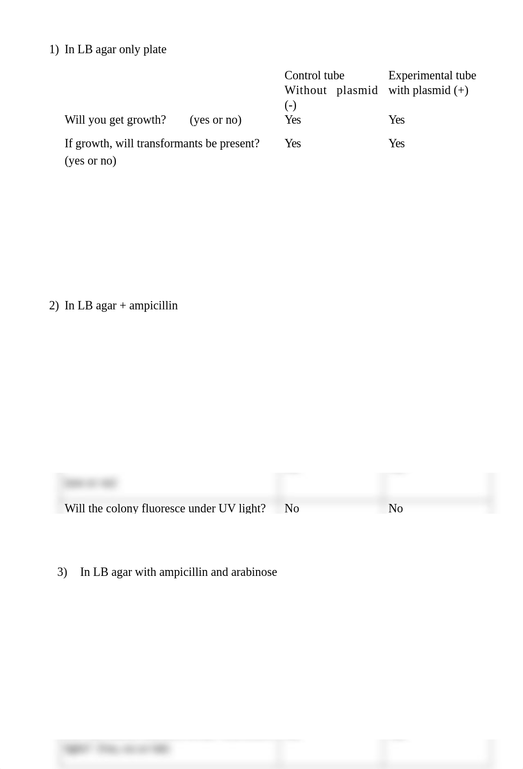 Lab 6 transformatio analysis1.docx_d6aotzhh2ms_page3