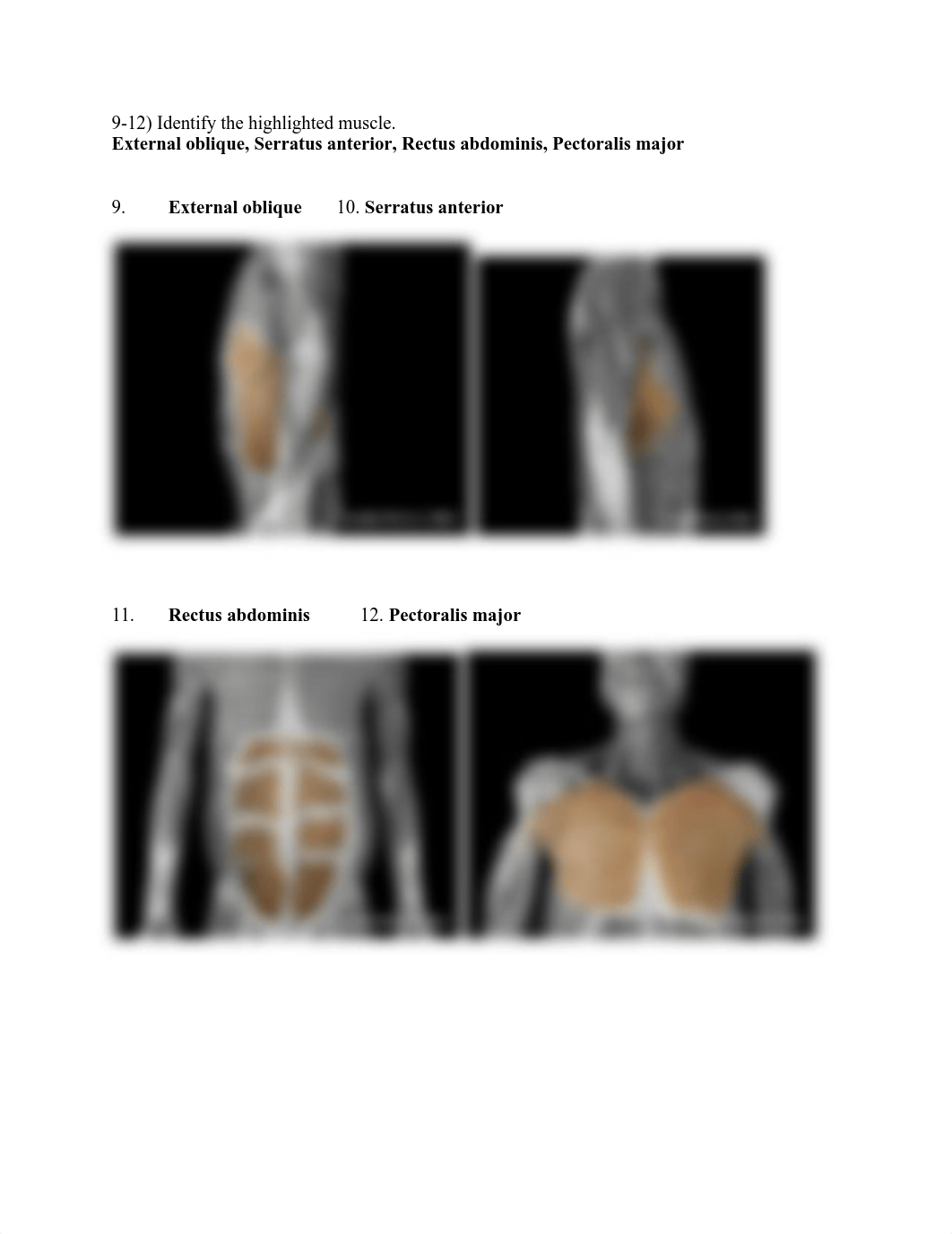 Muscles%20lab%20assignment.pdf.pdf_d6astiybvlo_page5