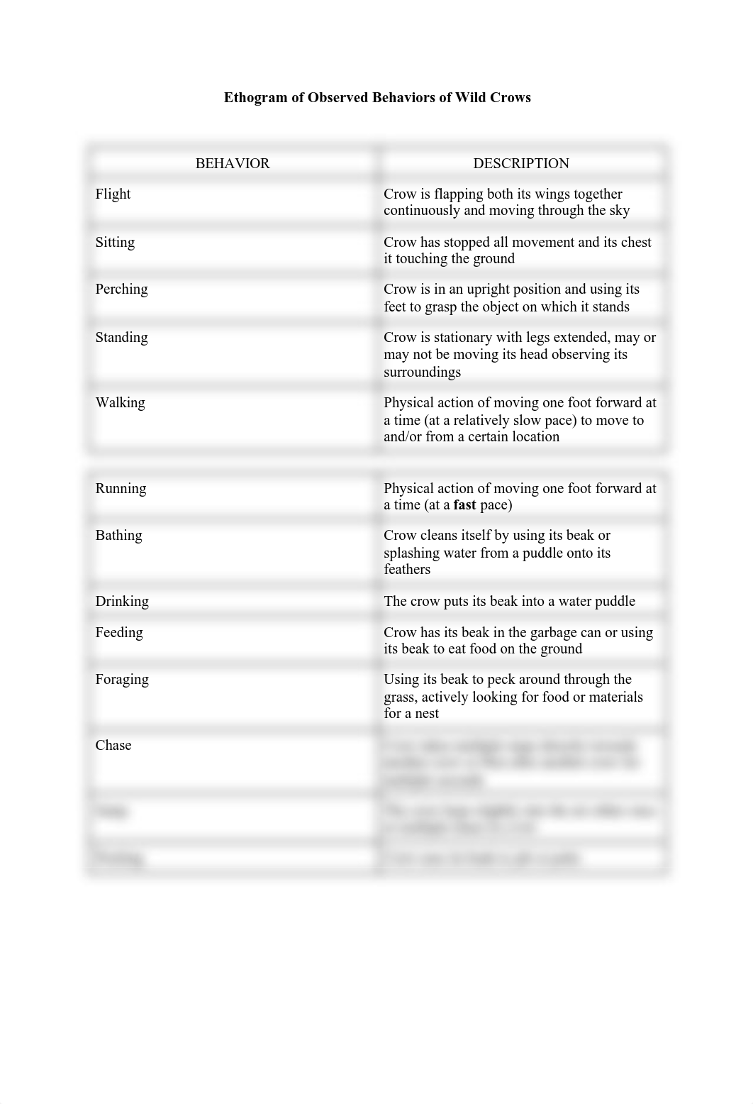 Bird(crow) Ethogram.pdf_d6az3yvsop5_page1