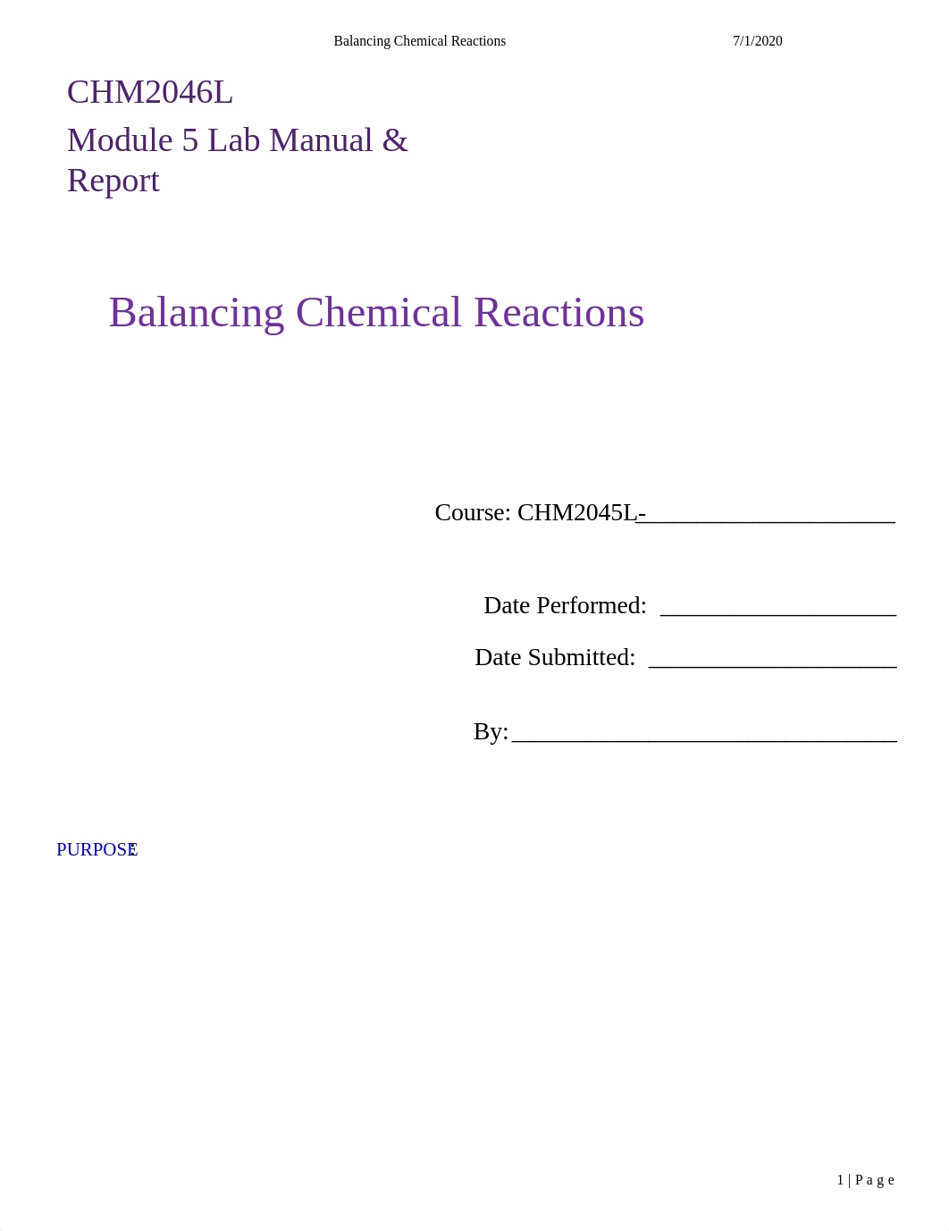 2045L_Mod_06_Balancing_Manual_Report.docx_d6b4nhqd8om_page1