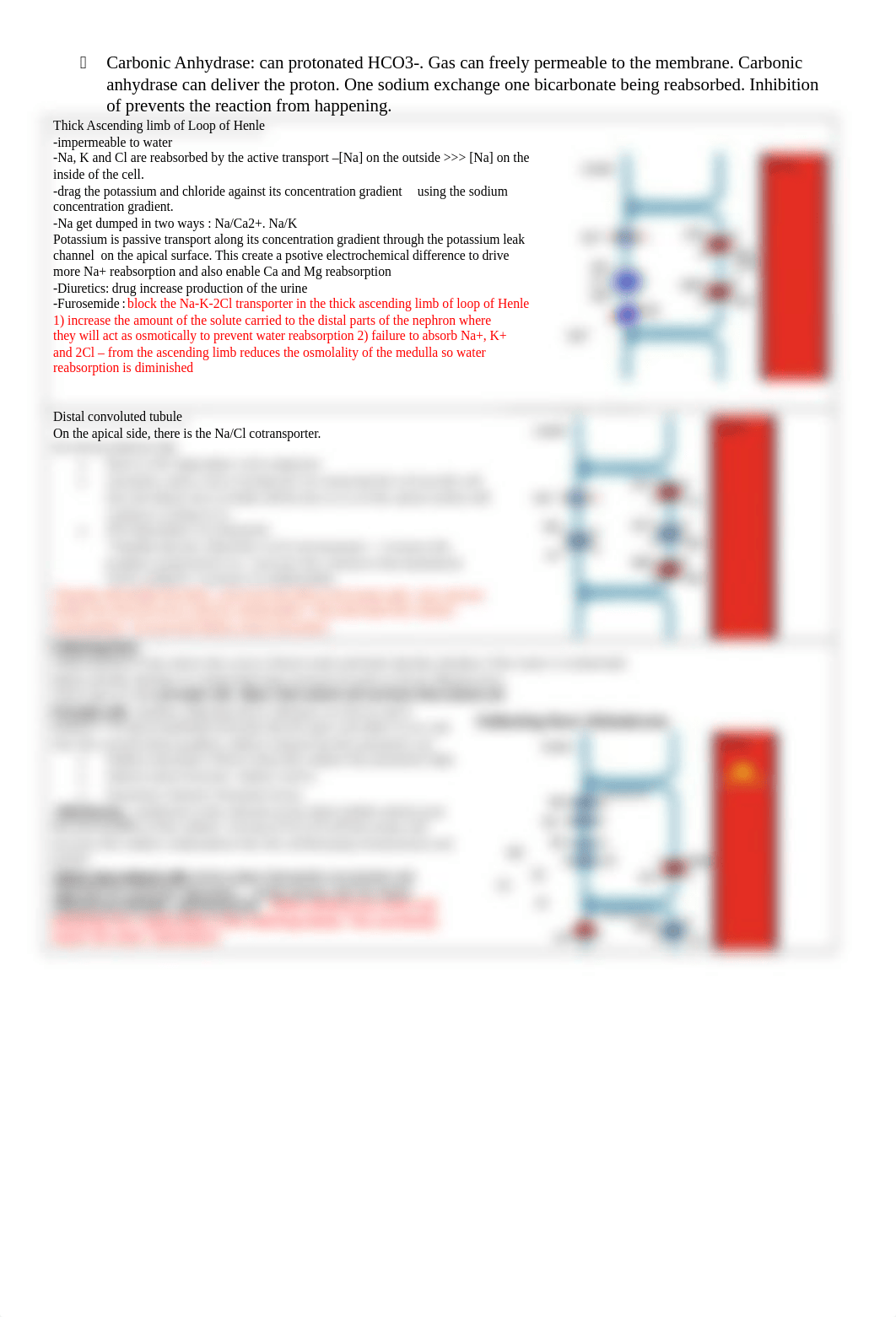 pcol midterm 2 study guide.docx_d6bcmp26ovs_page2