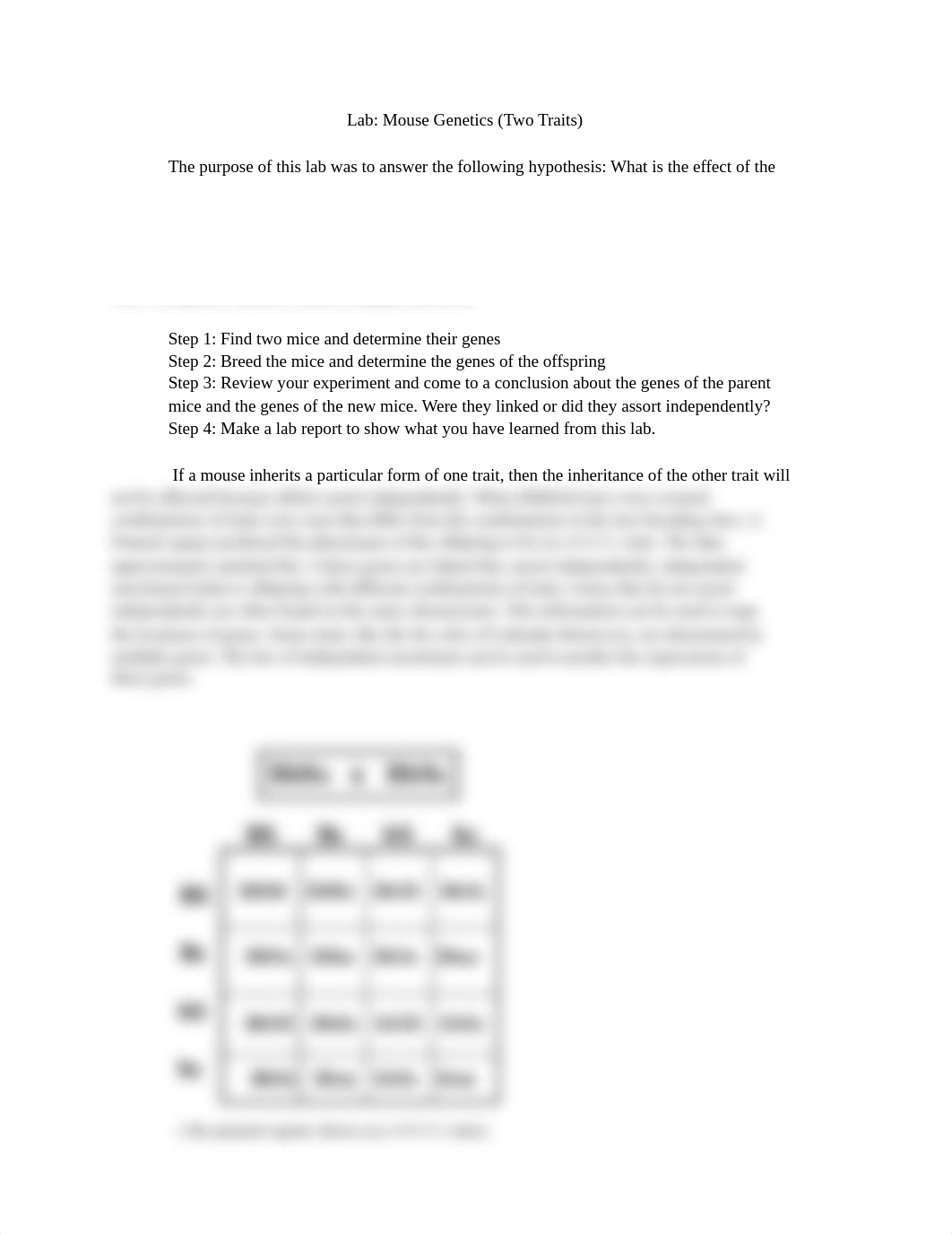 Lab Report_ Mouse genetics.pdf_d6biuvyod0m_page1