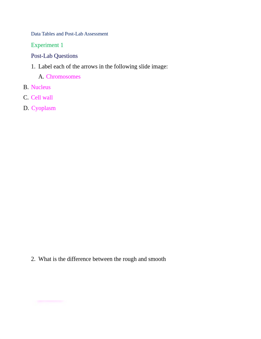 Lab 10_All Exercises_d6bjrprz7op_page3