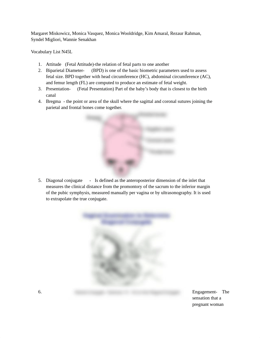 Vocabulary List N45L.docx_d6bshyjx9s0_page1