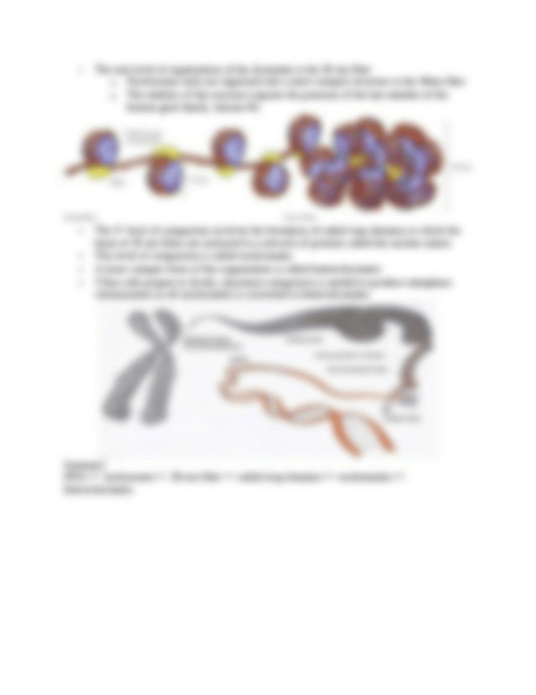 Peer Teaching Chromatin_d6bwlr3288o_page2