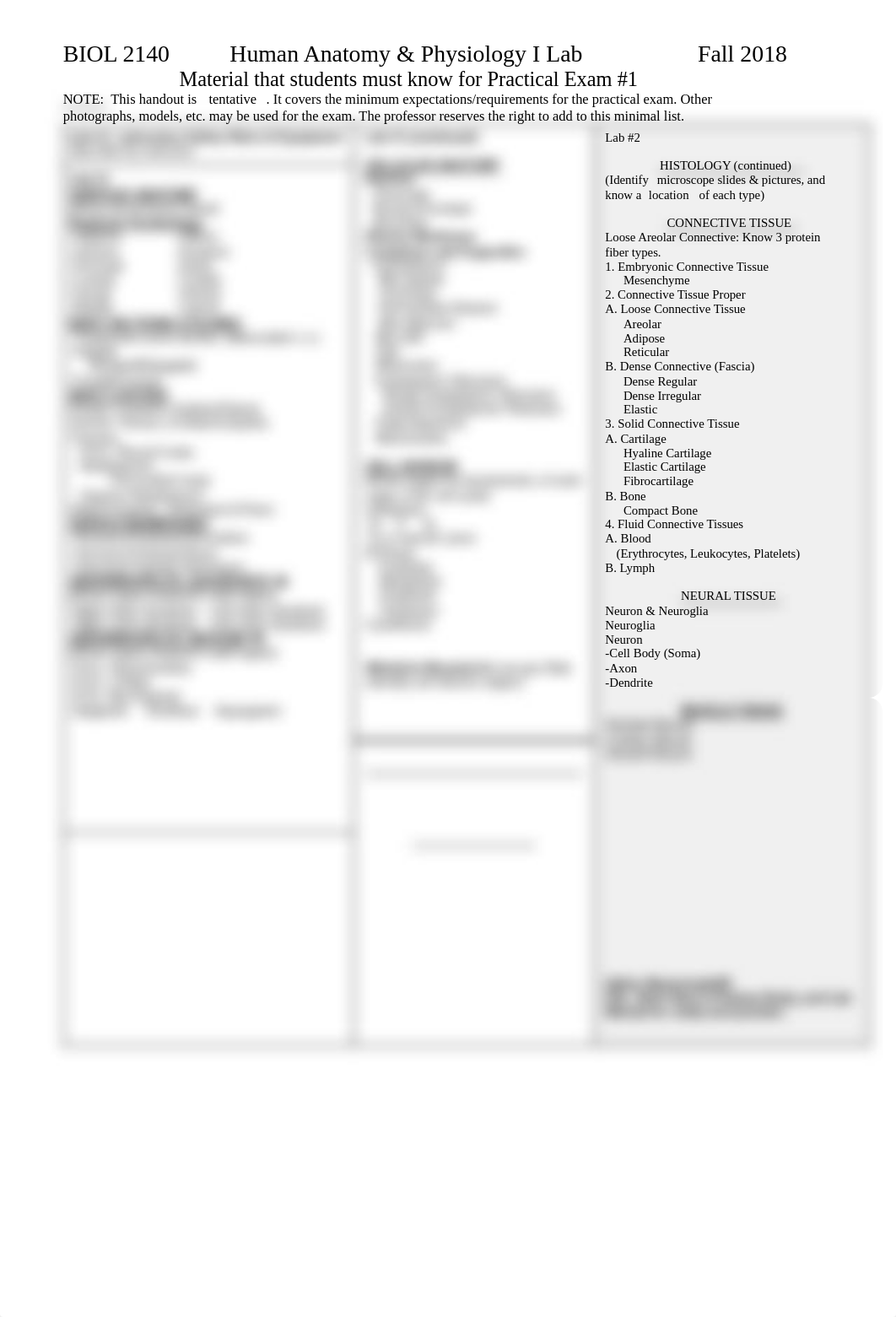 Practical 1 Study Sheet.pdf_d6c6eo347he_page1