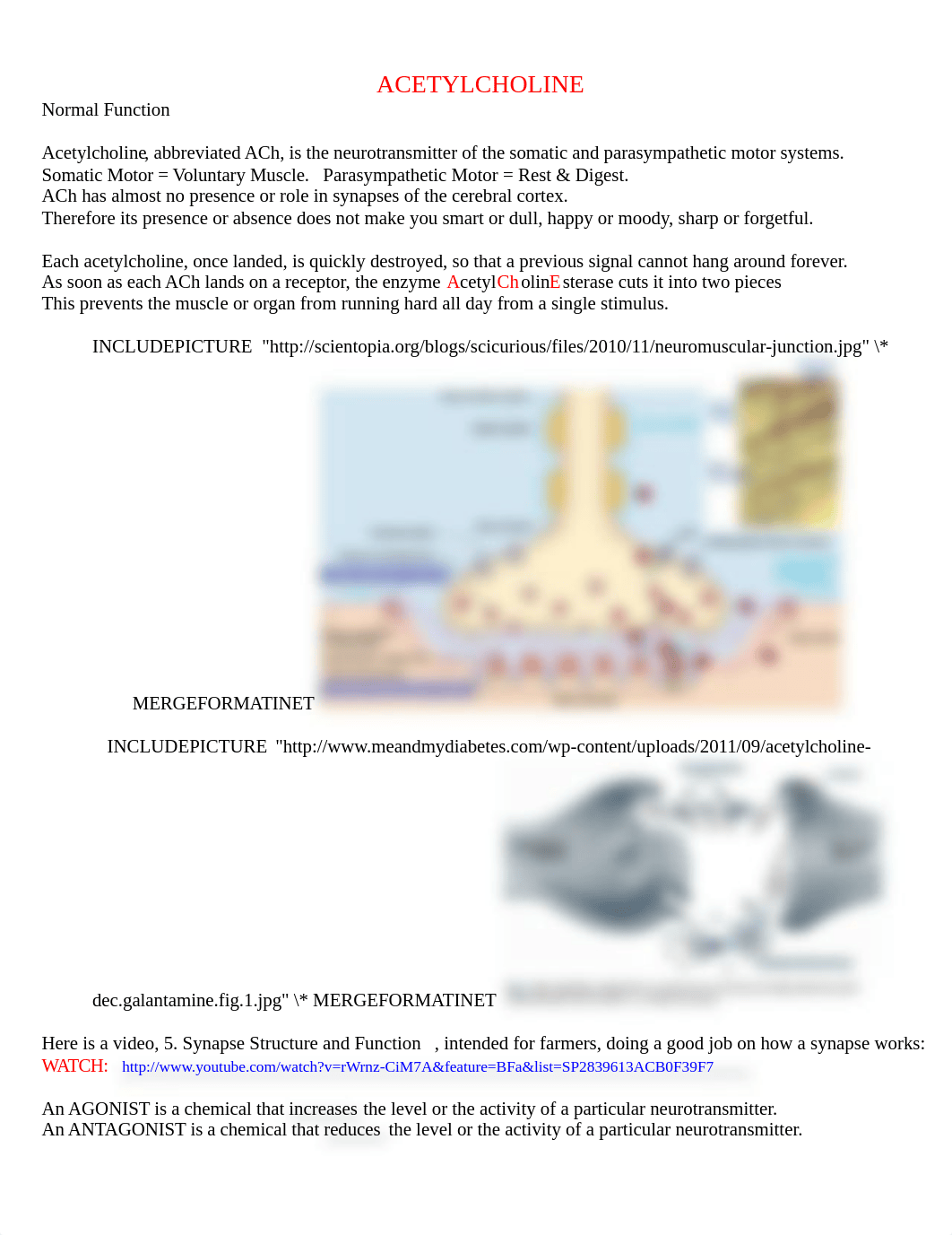 NEUROTRANSMITTERS.    the main     ACh GABA SEROTONIN DOPAMINE GLUTAMATE NE OPIATES.     43 pages.do_d6cd5scxw8s_page3