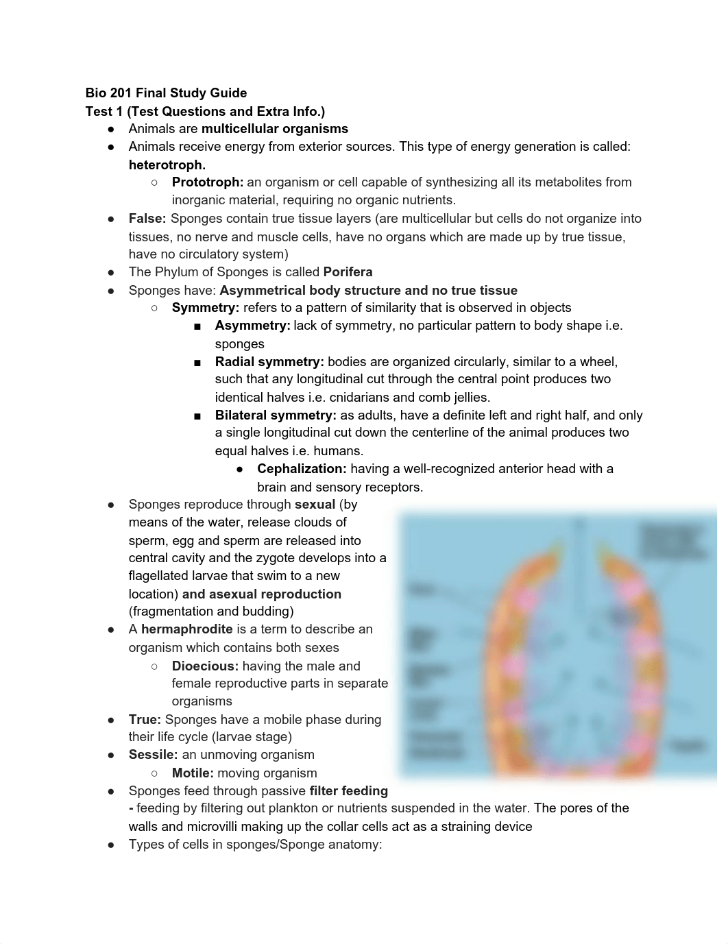 Bio 201 Final Study Guide.pdf_d6ceoxcz4hh_page1