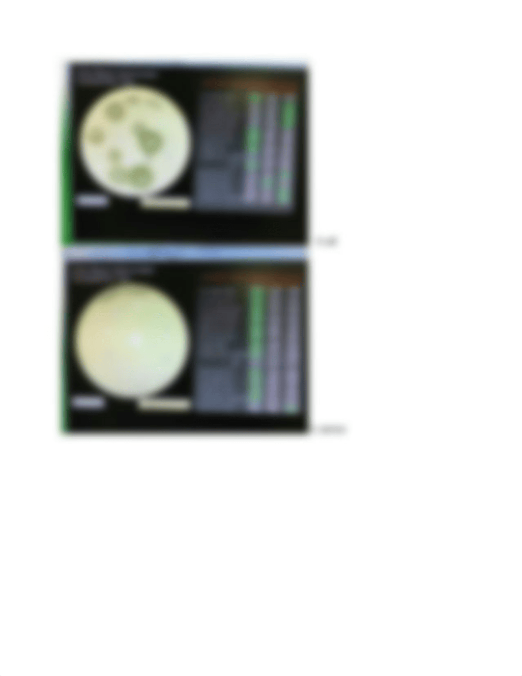 lab 8 antiseptics and antibiotics_d6cfwkmu0fy_page2