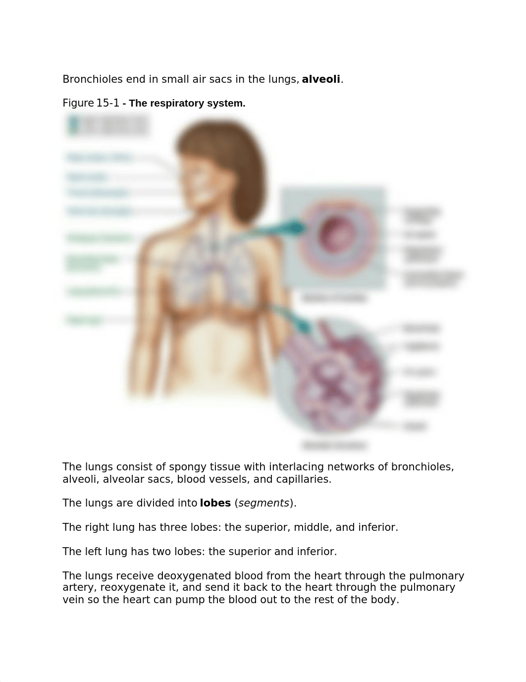 Chapter 15 J00-J99.docx_d6chwss441a_page2