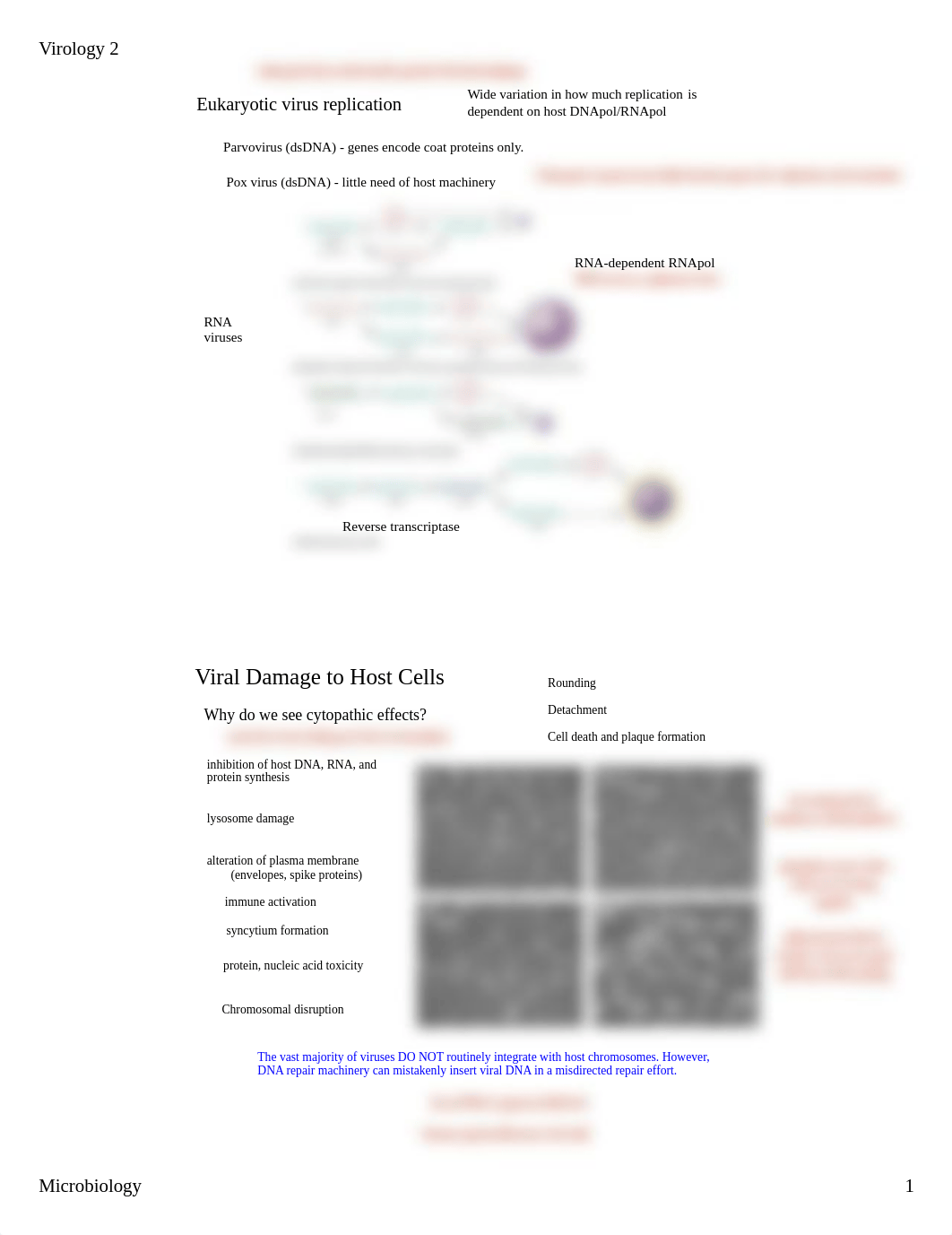 14Microvirus2.pdf_d6cq500p90d_page1