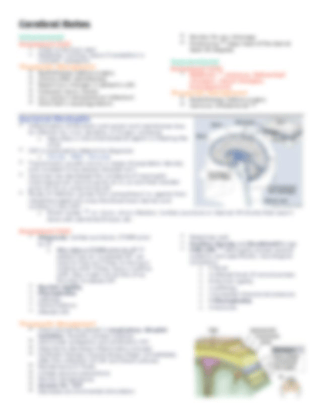 Cerebral Notes.docx_d6cw7bsh27l_page3