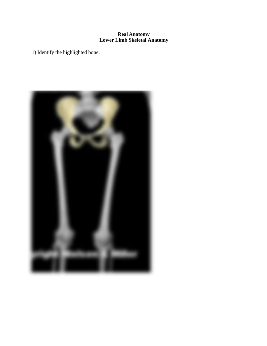 lower limb ID worksheet.docx_d6d4aj0cvhw_page1