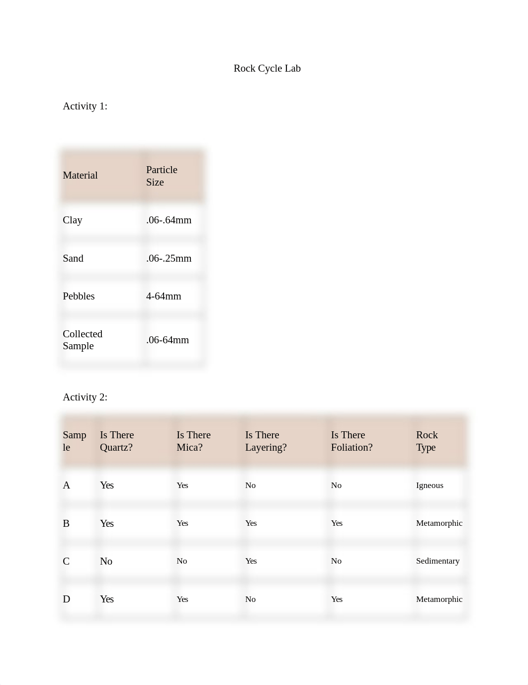 Rock Cycle Lab.docx_d6d4ph9bdd3_page1