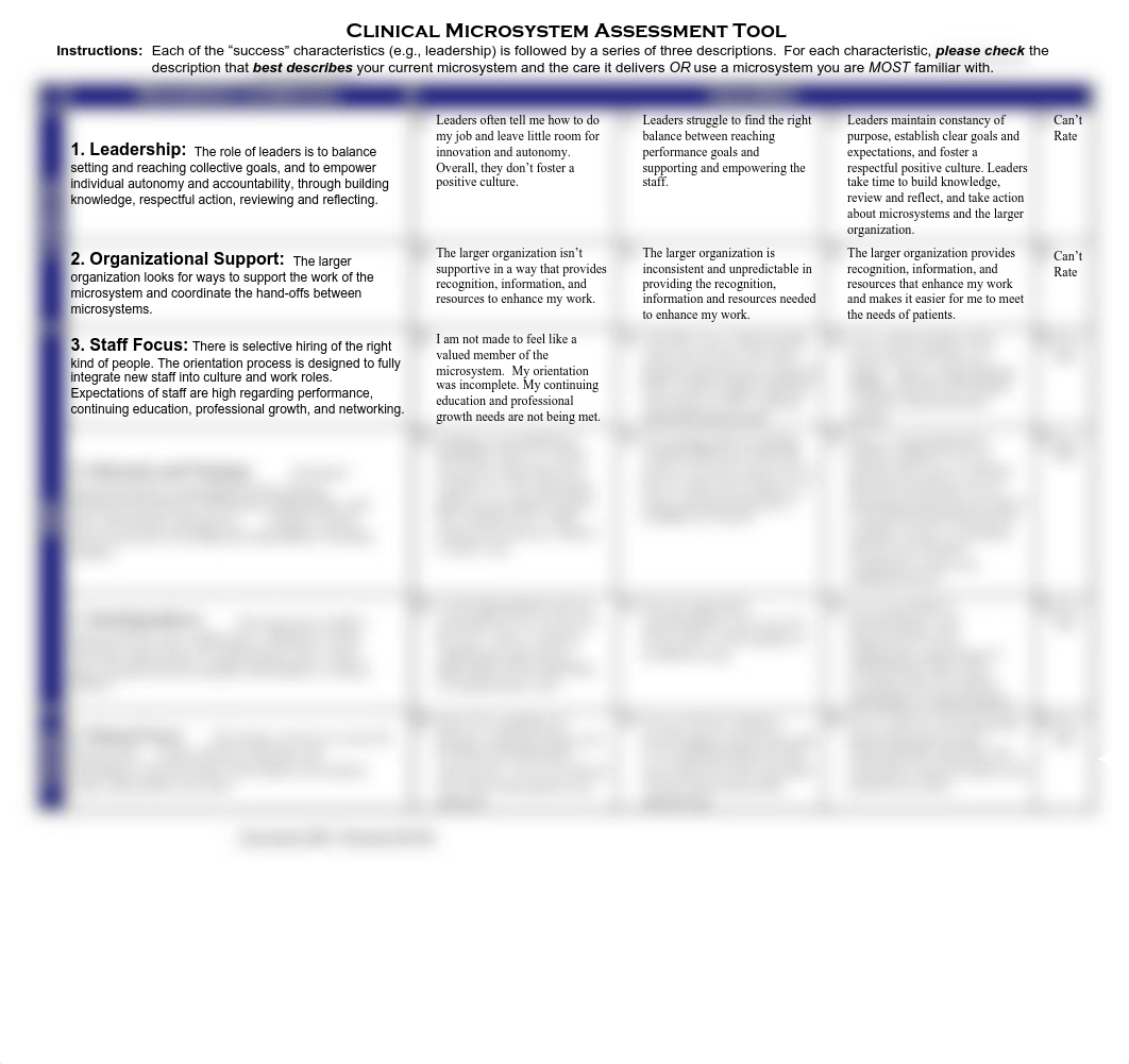 microsystem_assessment.pdf_d6d6gtl3qsd_page1