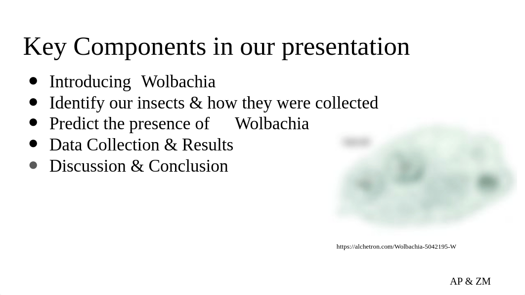 McCarter%2FPayne-Wolbachia presentation.pptx_d6d6t6y09sl_page2