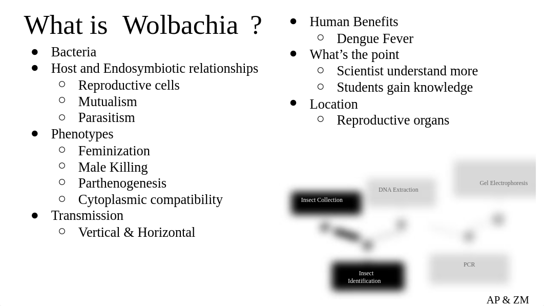 McCarter%2FPayne-Wolbachia presentation.pptx_d6d6t6y09sl_page3