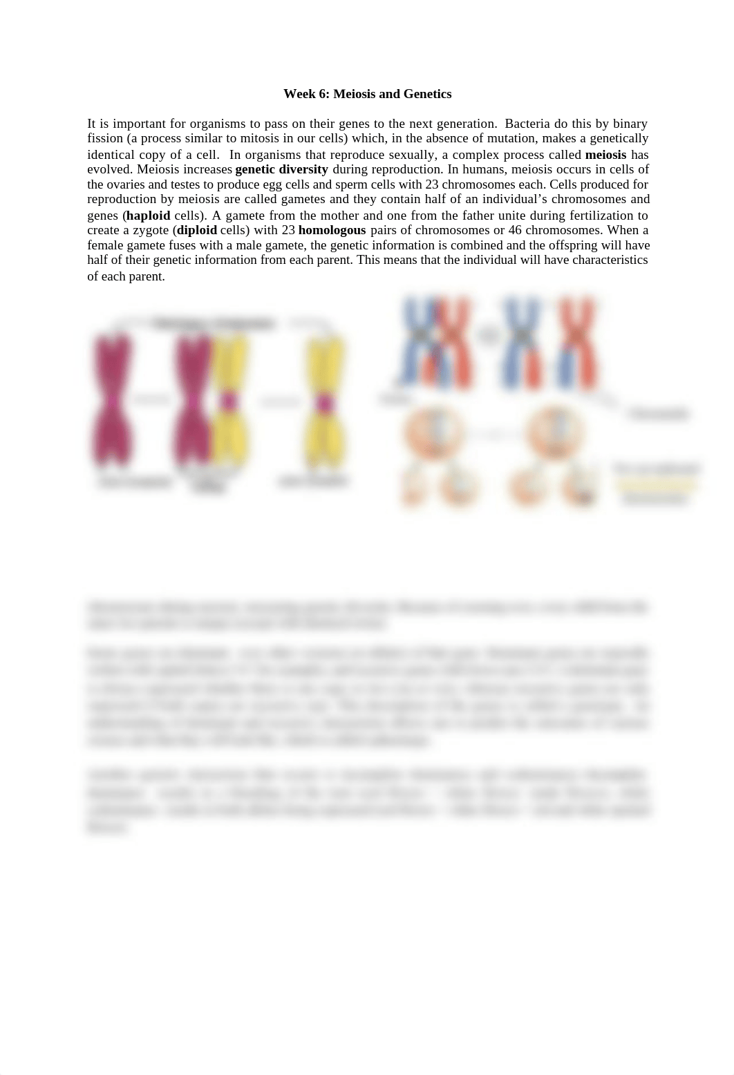 Week 6 - Meiosis Procedure.docx_d6deceilze8_page1