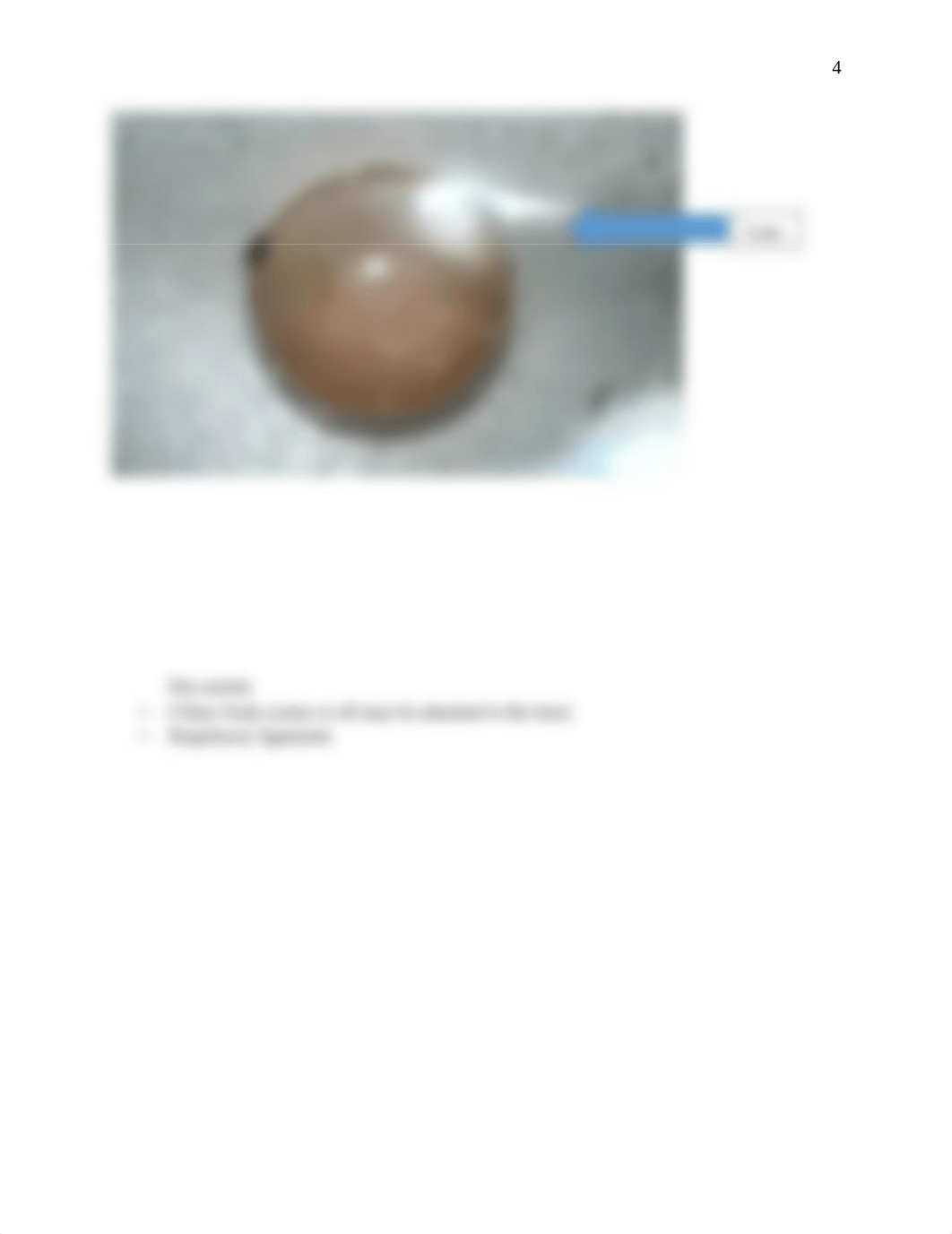 Eye Lab BIO 226.pdf_d6di8jjuc6o_page5