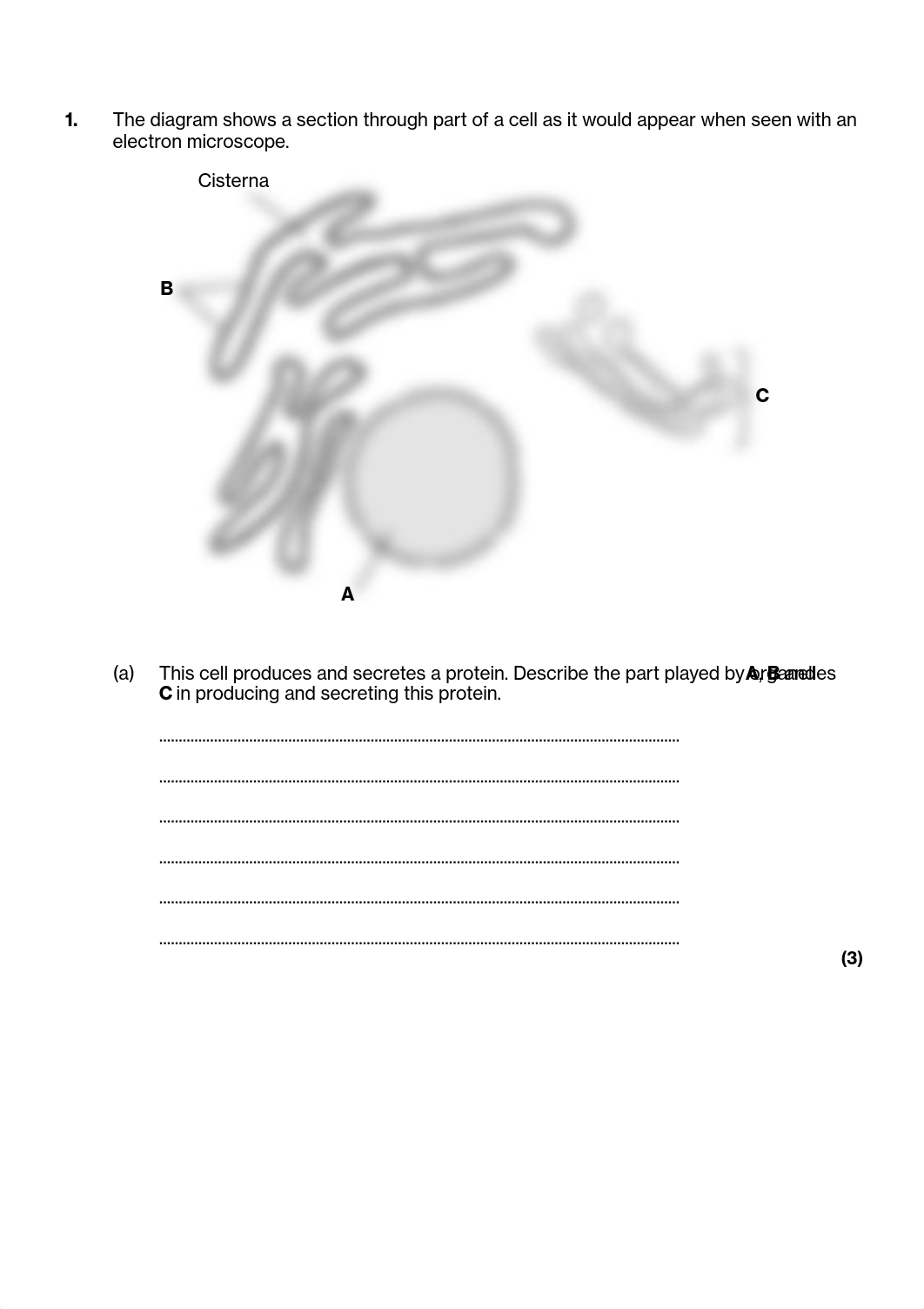 3.1_Cell_Structure.pdf_d6djqwjan05_page1