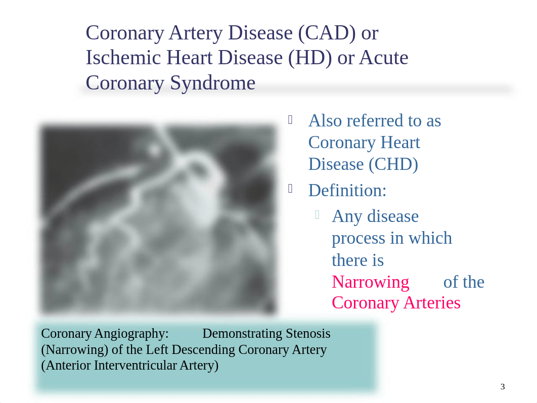 Case Study Review #2 Cardiovascular Disorders.ppt_d6ds5egmvpc_page3