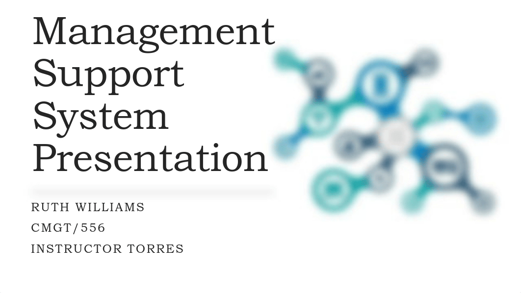 Management Support System Presentation.pdf_d6dv51qwoga_page1