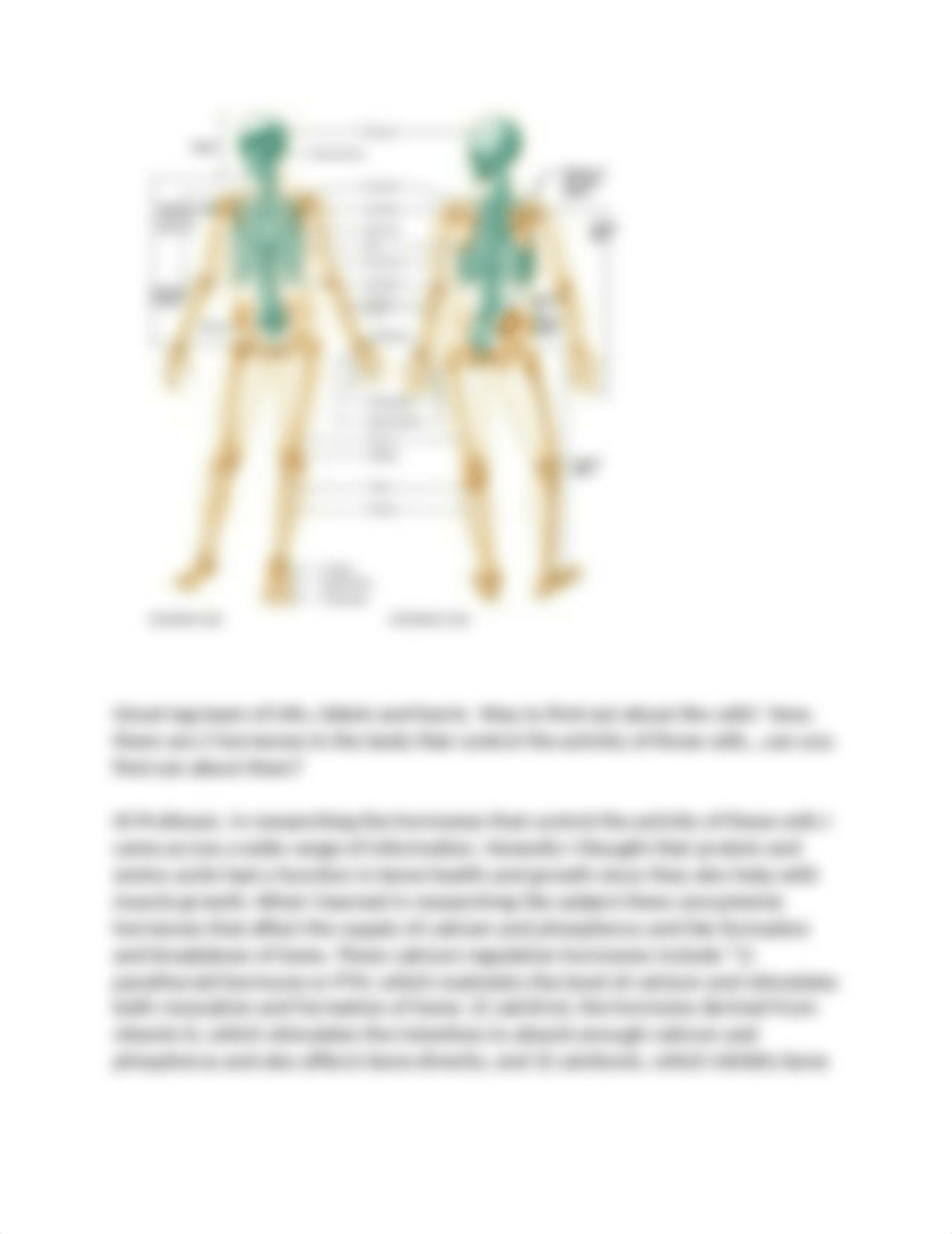 Skeletal System-Discussion #1_d6e6sglat4l_page3