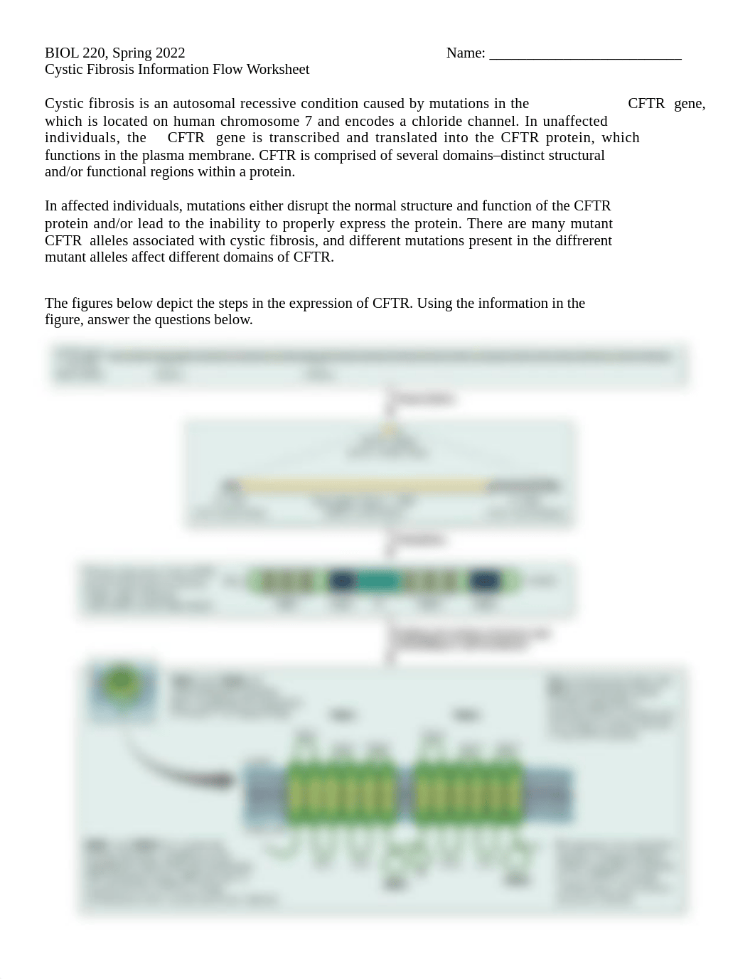 Cystic Fibrosis Information Flow Worksheet_BIOL220_F19.docx_d6ebcoknr10_page1