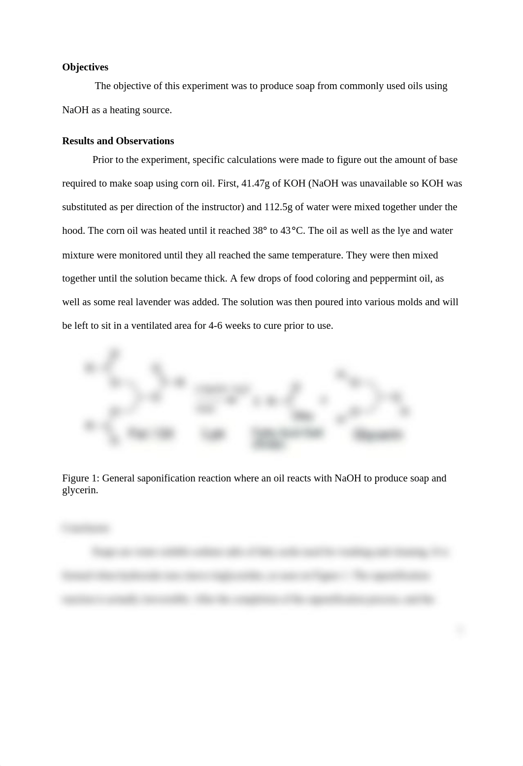 OC2 Lab Saponification Short Report - Full Document 1_d6efz4qwxx7_page2