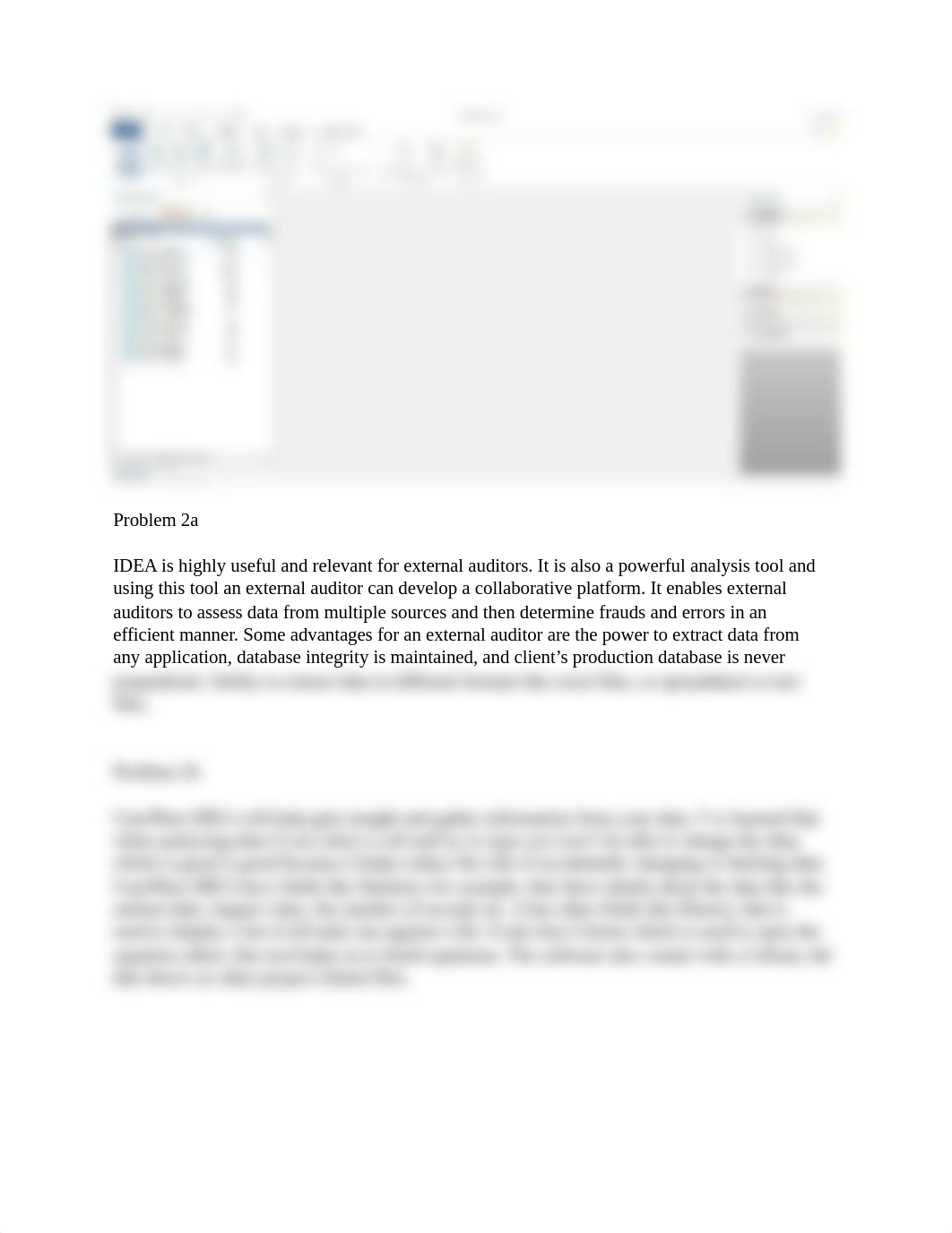 Auditing IDEA Week 1 .docx_d6eh4o1czkh_page2