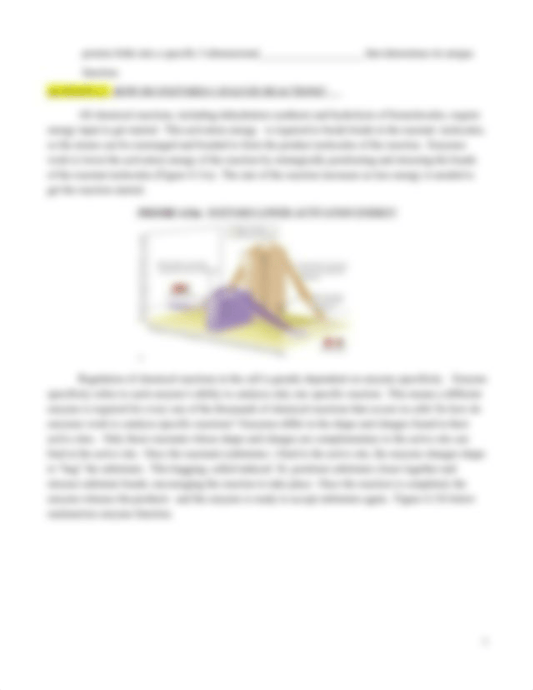 BIOL 1020_ENZYMES AND CARBOHYDRATES.docx_d6ek8ck1r47_page3