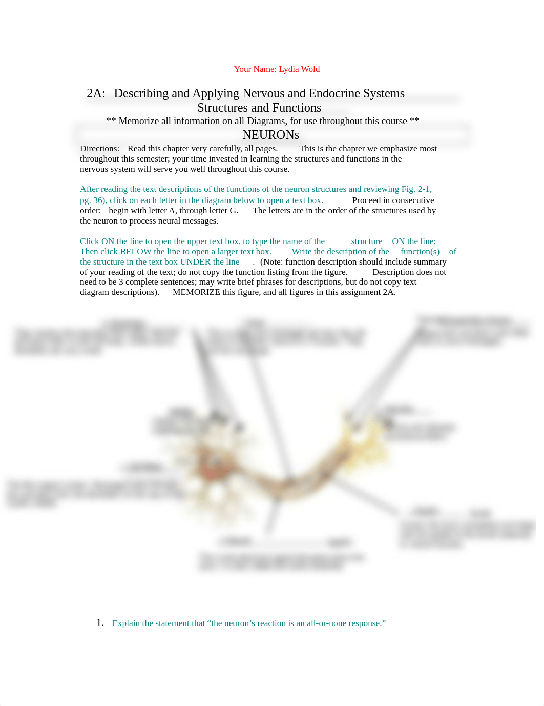 Nervous System Packet-Lydia Wold.doc_d6eo3gbymcr_page1