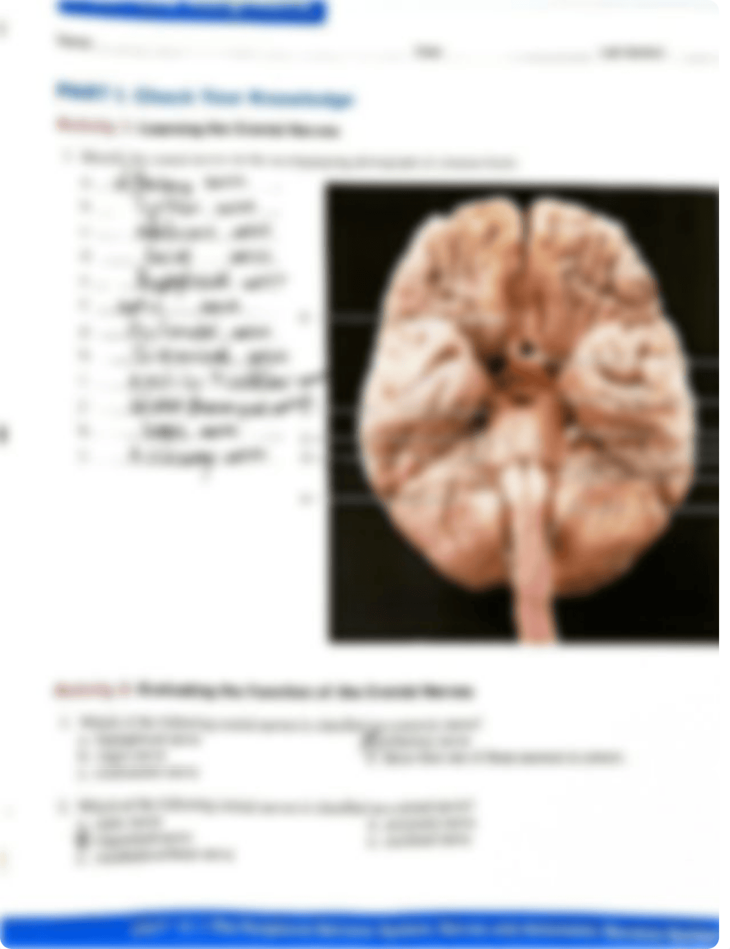 Post-Lab Unit 16.pdf_d6ezudgbc76_page1